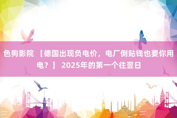   色狗影院 【德国出现负电价，电厂倒贴钱也要你用电？】 2025年的第一个往翌日