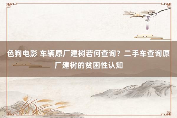   色狗电影 车辆原厂建树若何查询？二手车查询原厂建树的贫困性认知