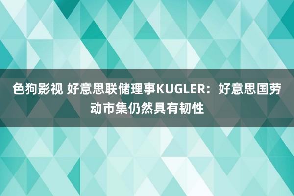   色狗影视 好意思联储理事KUGLER：好意思国劳动市集仍然具有韧性