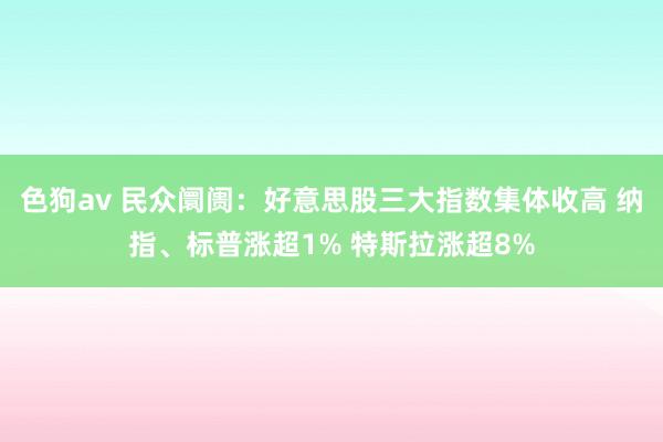   色狗av 民众阛阓：好意思股三大指数集体收高 纳指、标普涨超1% 特斯拉涨超8%