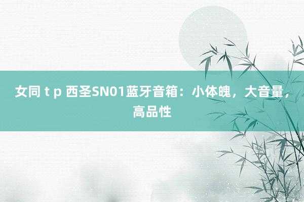   女同 t p 西圣SN01蓝牙音箱：小体魄，大音量，高品性