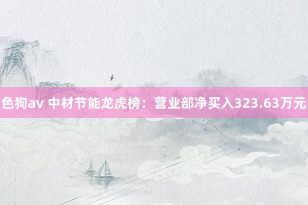   色狗av 中材节能龙虎榜：营业部净买入323.63万元