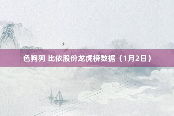   色狗狗 比依股份龙虎榜数据（1月2日）