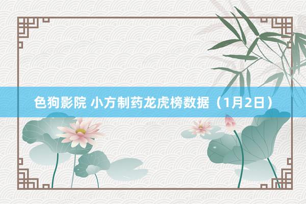   色狗影院 小方制药龙虎榜数据（1月2日）