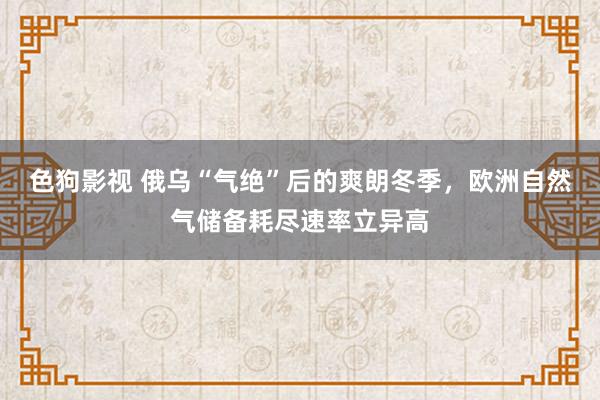   色狗影视 俄乌“气绝”后的爽朗冬季，欧洲自然气储备耗尽速率立异高
