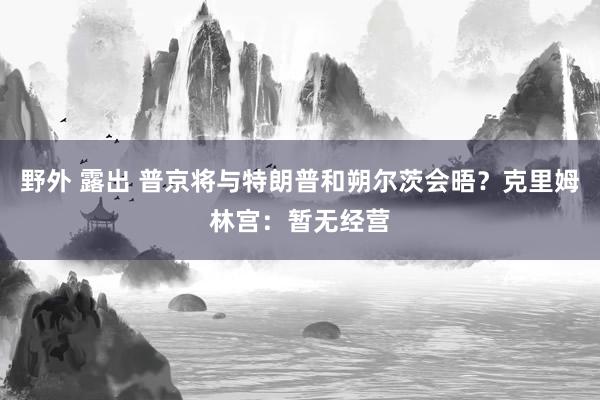   野外 露出 普京将与特朗普和朔尔茨会晤？克里姆林宫：暂无经营