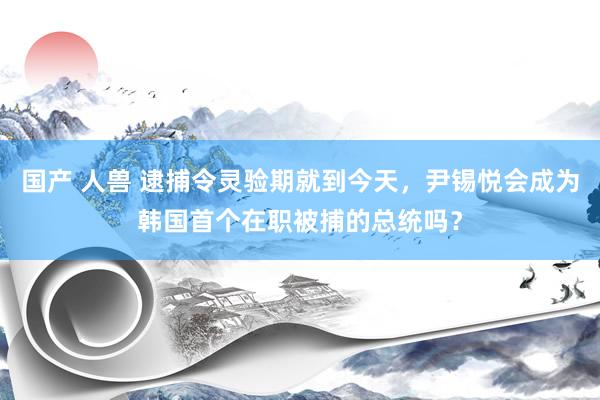  国产 人兽 逮捕令灵验期就到今天，尹锡悦会成为韩国首个在职被捕的总统吗？