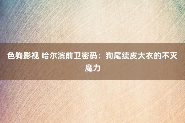   色狗影视 哈尔滨前卫密码：狗尾续皮大衣的不灭魔力