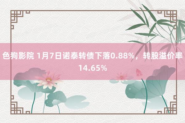   色狗影院 1月7日诺泰转债下落0.88%，转股溢价率14.65%