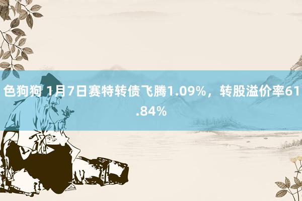   色狗狗 1月7日赛特转债飞腾1.09%，转股溢价率61.84%