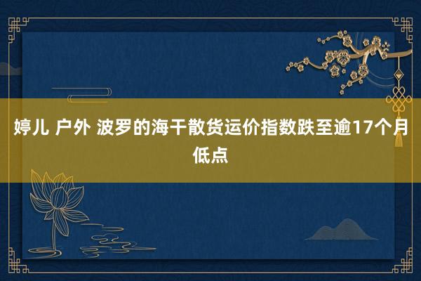   婷儿 户外 波罗的海干散货运价指数跌至逾17个月低点