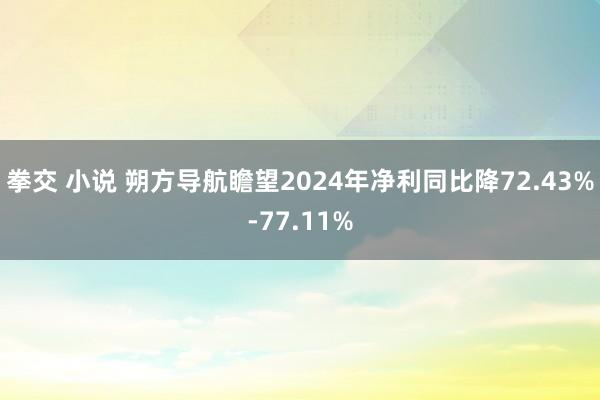   拳交 小说 朔方导航瞻望2024年净利同比降72.43%-77.11%