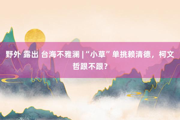   野外 露出 台海不雅澜 |“小草”单挑赖清德，柯文哲跟不跟？