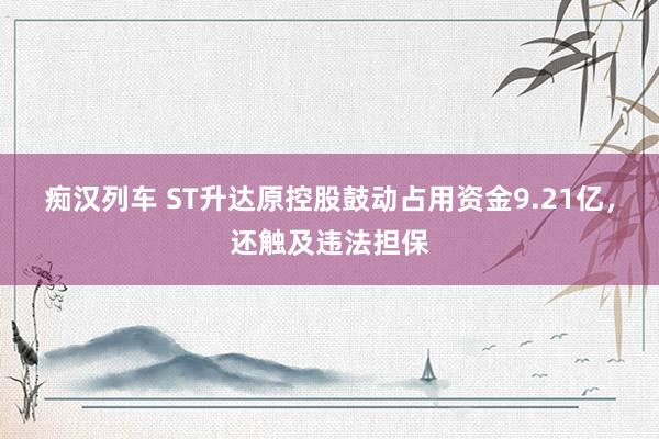   痴汉列车 ST升达原控股鼓动占用资金9.21亿，还触及违法担保