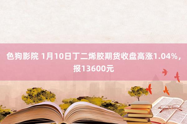   色狗影院 1月10日丁二烯胶期货收盘高涨1.04%，报13600元