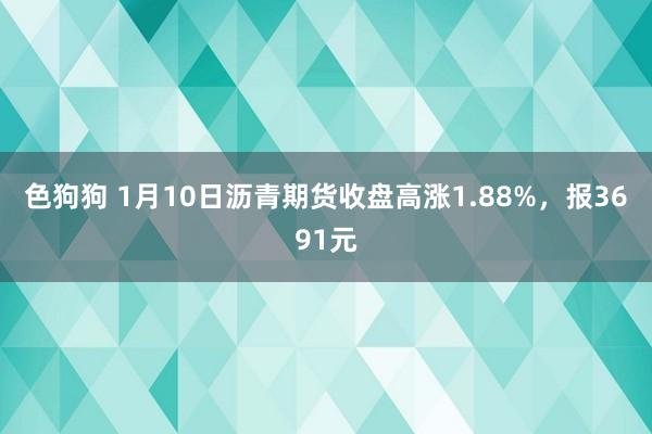   色狗狗 1月10日沥青期货收盘高涨1.88%，报3691元