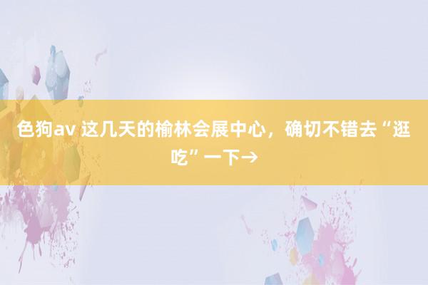   色狗av 这几天的榆林会展中心，确切不错去“逛吃”一下→