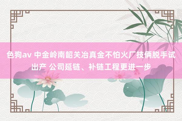   色狗av 中金岭南韶关冶真金不怕火厂技俩脱手试出产 公司延链、补链工程更进一步