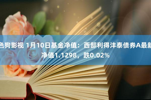   色狗影视 1月10日基金净值：西部利得沣泰债券A最新净值1.1298，跌0.02%