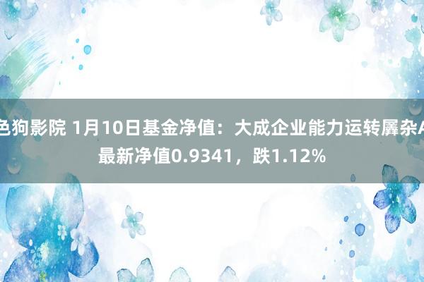   色狗影院 1月10日基金净值：大成企业能力运转羼杂A最新净值0.9341，跌1.12%