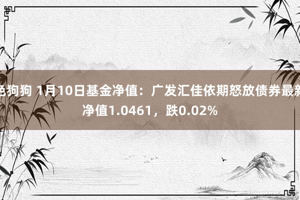   色狗狗 1月10日基金净值：广发汇佳依期怒放债券最新净值1.0461，跌0.02%