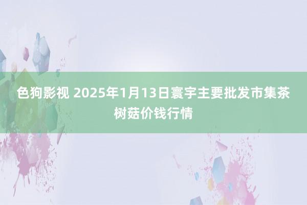   色狗影视 2025年1月13日寰宇主要批发市集茶树菇价钱行情