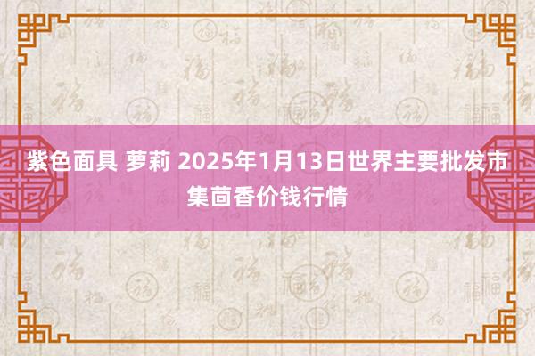   紫色面具 萝莉 2025年1月13日世界主要批发市集茴香价钱行情