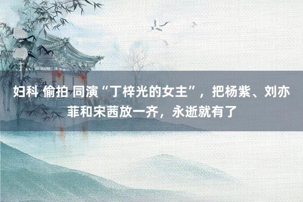   妇科 偷拍 同演“丁梓光的女主”，把杨紫、刘亦菲和宋茜放一齐，永逝就有了