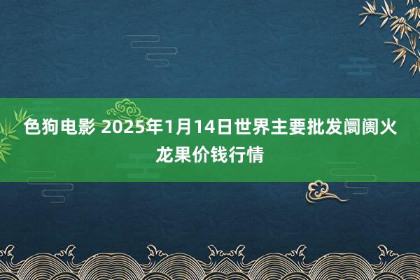   色狗电影 2025年1月14日世界主要批发阛阓火龙果价钱行情