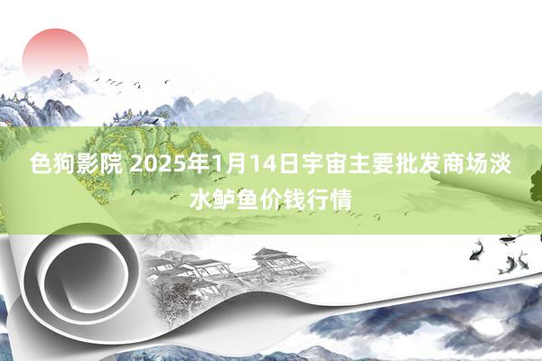   色狗影院 2025年1月14日宇宙主要批发商场淡水鲈鱼价钱行情