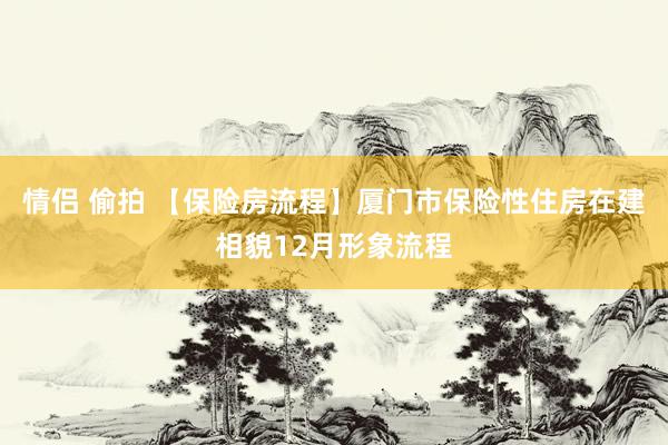   情侣 偷拍 【保险房流程】厦门市保险性住房在建相貌12月形象流程