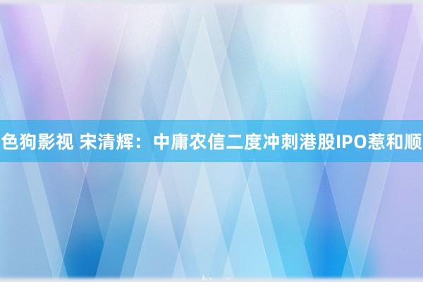   色狗影视 宋清辉：中庸农信二度冲刺港股IPO惹和顺