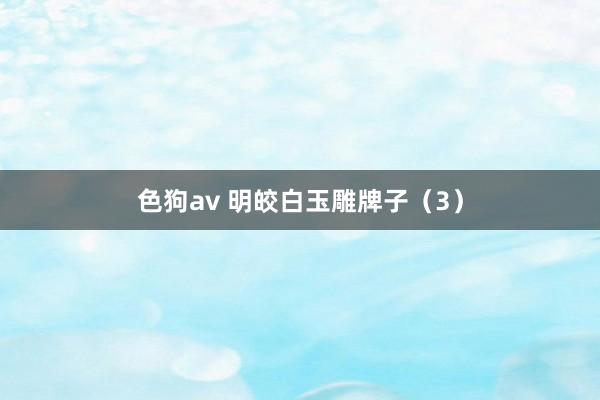   色狗av 明皎白玉雕牌子（3）