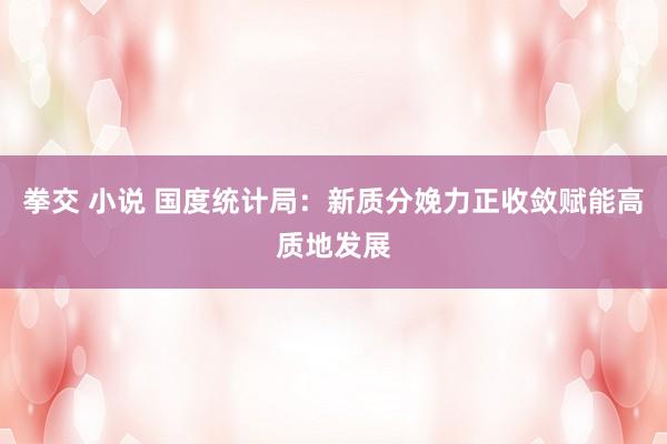   拳交 小说 国度统计局：新质分娩力正收敛赋能高质地发展