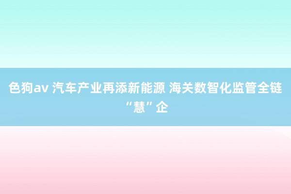   色狗av 汽车产业再添新能源 海关数智化监管全链“慧”企