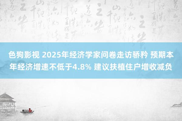   色狗影视 2025年经济学家问卷走访骄矜 预期本年经济增速不低于4.8% 建议扶植住户增收减负