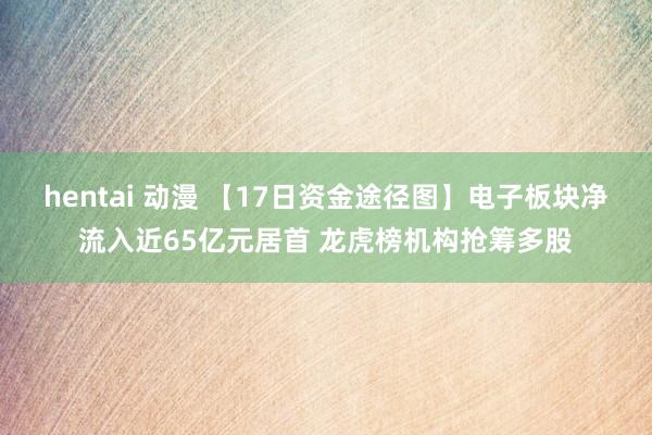   hentai 动漫 【17日资金途径图】电子板块净流入近65亿元居首 龙虎榜机构抢筹多股