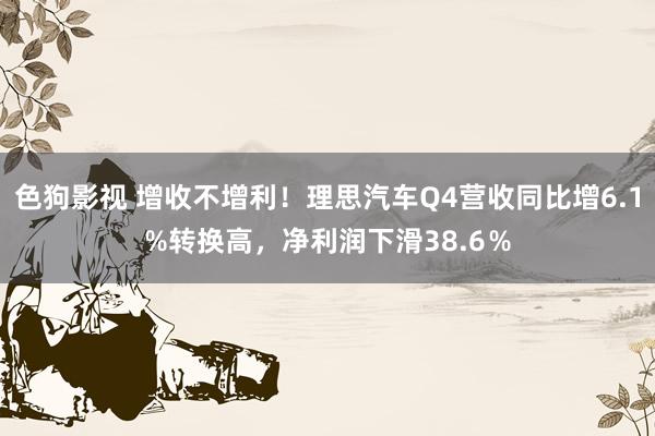   色狗影视 增收不增利！理思汽车Q4营收同比增6.1%转换高，净利润下滑38.6％