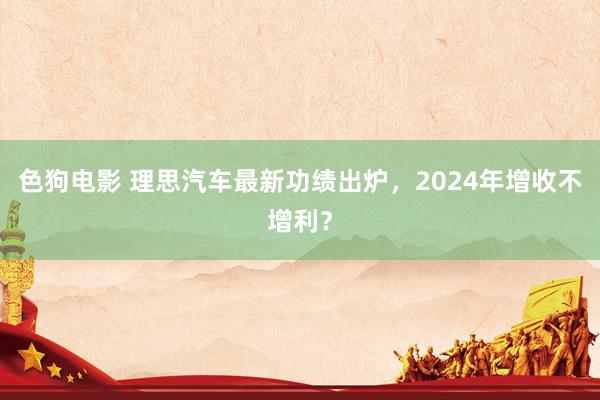   色狗电影 理思汽车最新功绩出炉，2024年增收不增利？