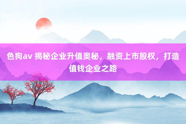   色狗av 揭秘企业升值奥秘，融资上市股权，打造值钱企业之路