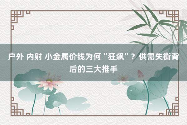   户外 内射 小金属价钱为何“狂飙”？供需失衡背后的三大推手