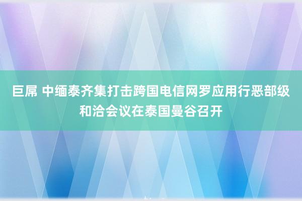  巨屌 中缅泰齐集打击跨国电信网罗应用行恶部级和洽会议在泰国曼谷召开