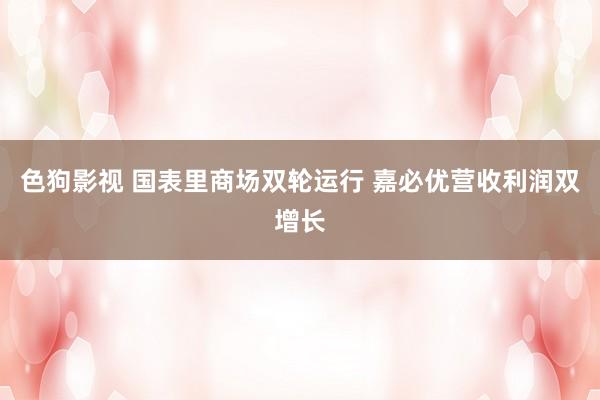   色狗影视 国表里商场双轮运行 嘉必优营收利润双增长