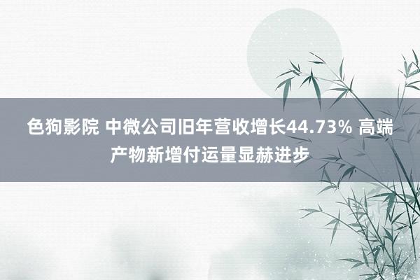 色狗影院 中微公司旧年营收增长44.73% 高端产物新增付运量显赫进步