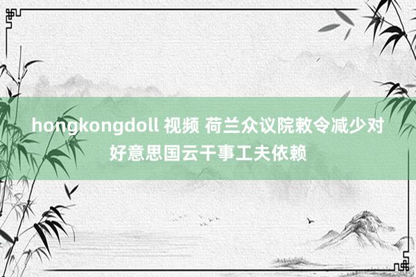   hongkongdoll 视频 荷兰众议院敕令减少对好意思国云干事工夫依赖