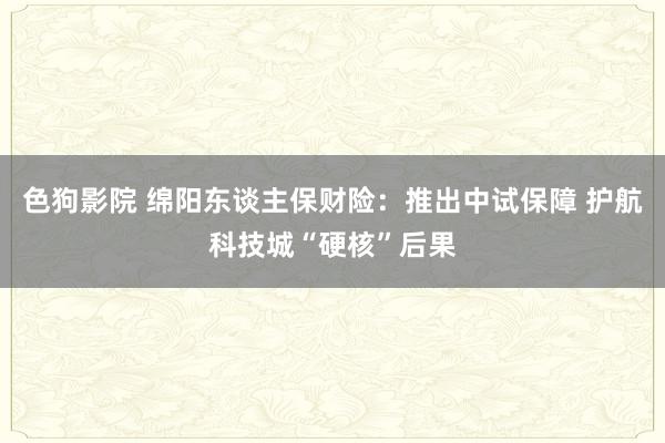 色狗影院 绵阳东谈主保财险：推出中试保障 护航科技城“硬核”后果