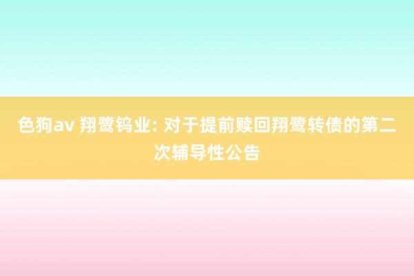   色狗av 翔鹭钨业: 对于提前赎回翔鹭转债的第二次辅导性公告