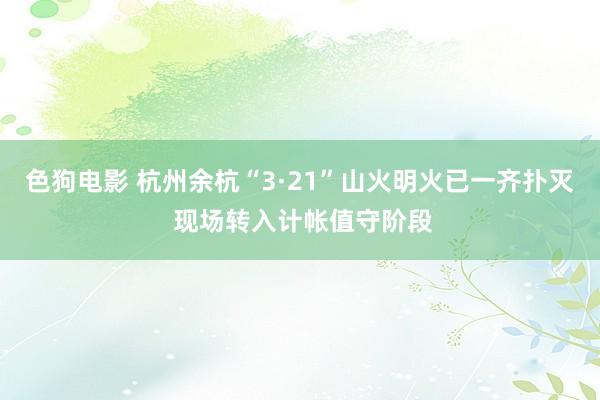   色狗电影 杭州余杭“3·21”山火明火已一齐扑灭 现场转入计帐值守阶段