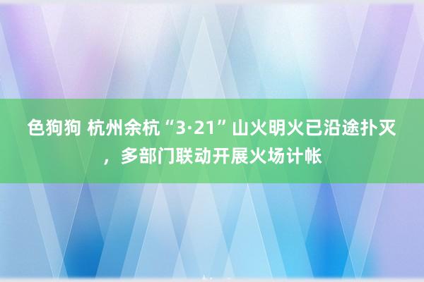   色狗狗 杭州余杭“3·21”山火明火已沿途扑灭，多部门联动开展火场计帐