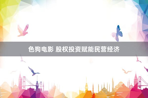   色狗电影 股权投资赋能民营经济